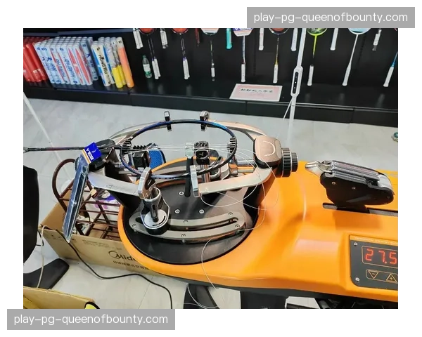 羽毛球价格上涨对业余爱好者影响：每周打球成本增加分析